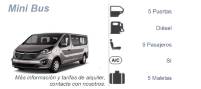 Alquiler furgón combi 9 pasajeros.